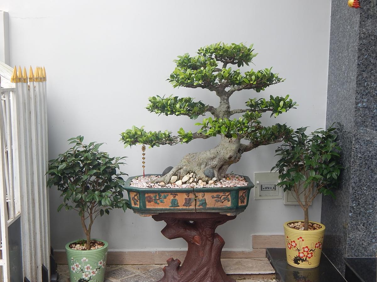 Dalat View Homestay Dış mekan fotoğraf